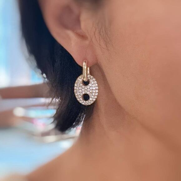 Pave Western Equestrian Horse Bit Dangle Earrings - Picture 4 of 4